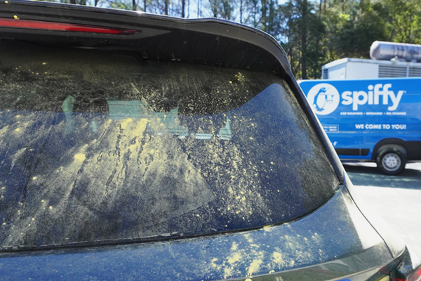 Eliminate pollen buildup with Spiffy’s mobile wash and detail services.